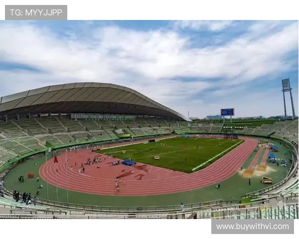 探索开云体育官方网页，畅享多样化的在线体育体验